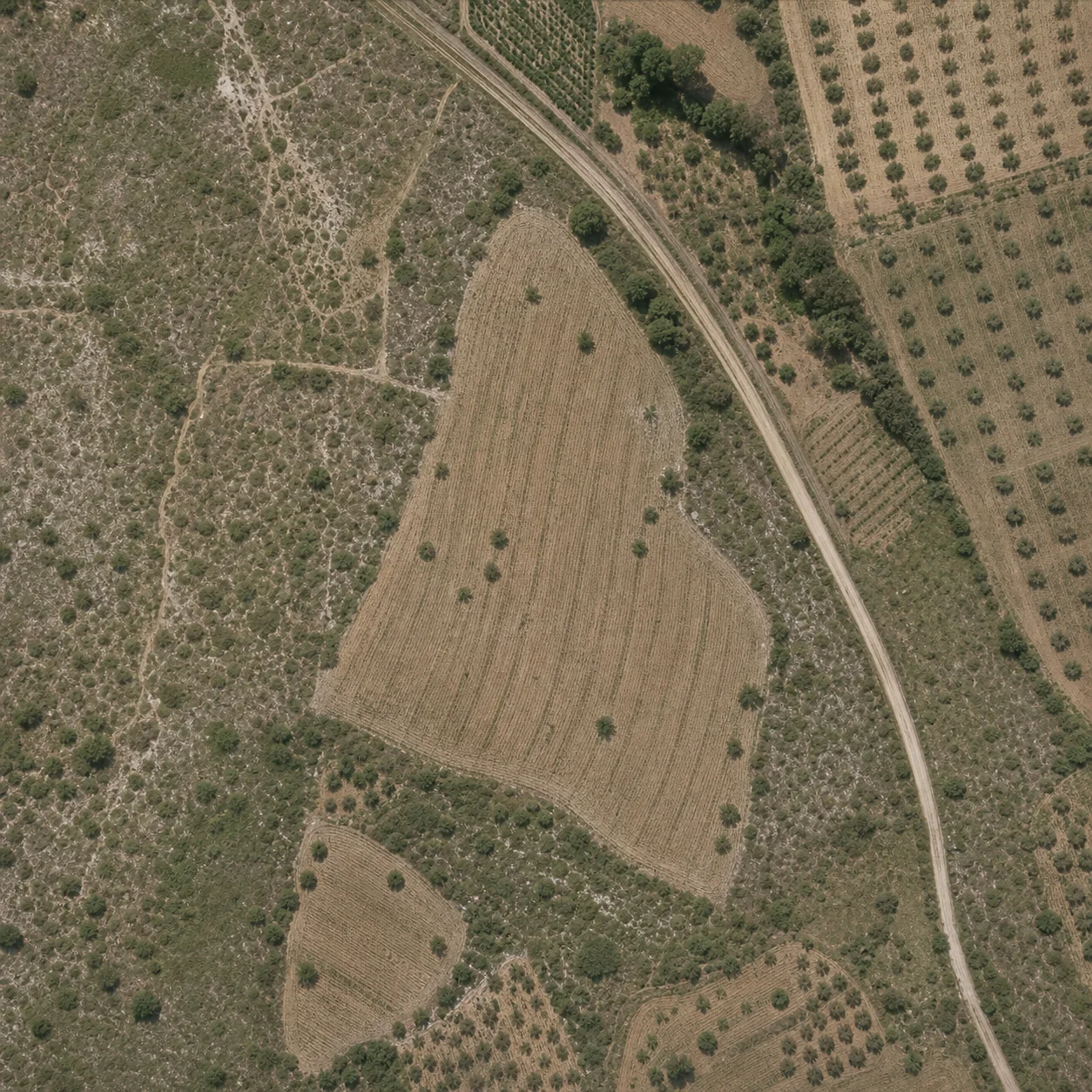 Ortofoto aérea de una parcela agrícola y su entorno