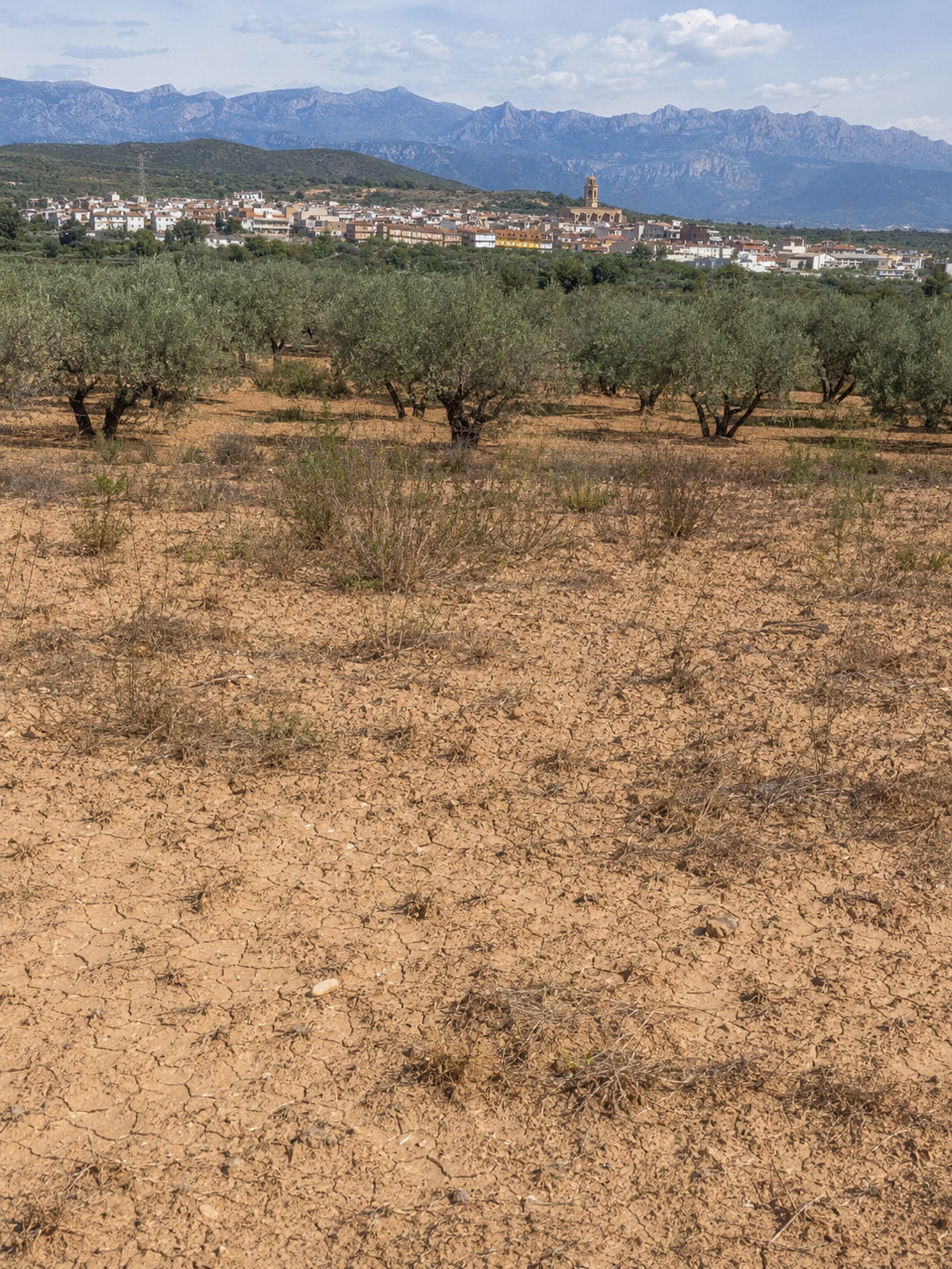 Suelo agrícola expuesto y agrietado